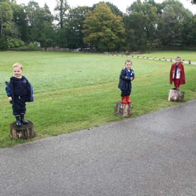 PainshillPark023