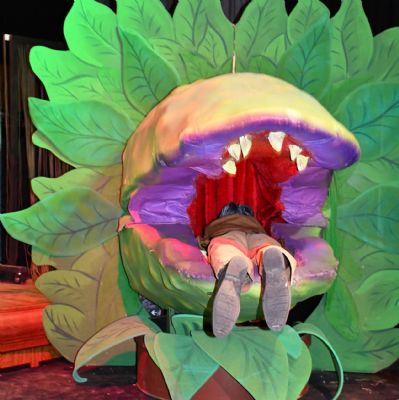 TheLittleShopofHorrors294)1)