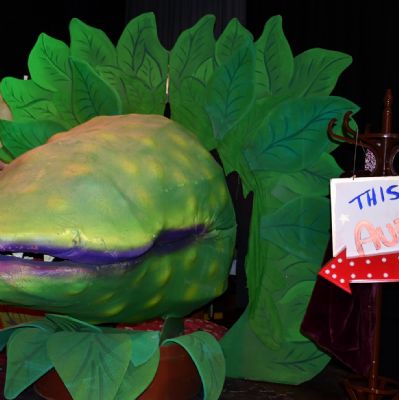 TheLittleShopofHorrors307)1)