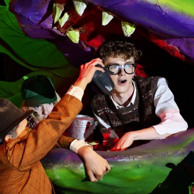TheLittleShopofHorrors378)1)