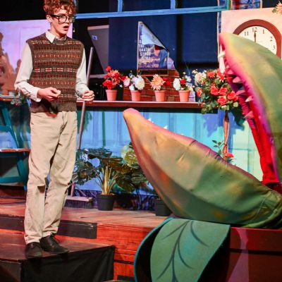 TheLittleShopofHorrors99)1)