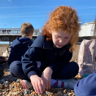 BrightonSeaLife17)
