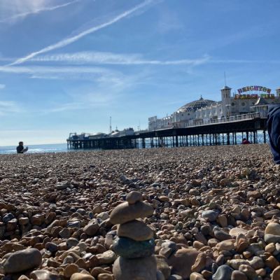 BrightonSeaLife18)