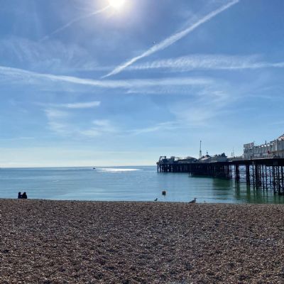 BrightonSeaLife19)