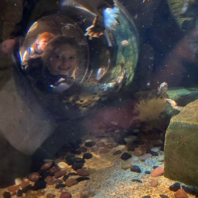 BrightonSeaLife4)