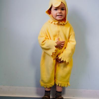 Nativity28)