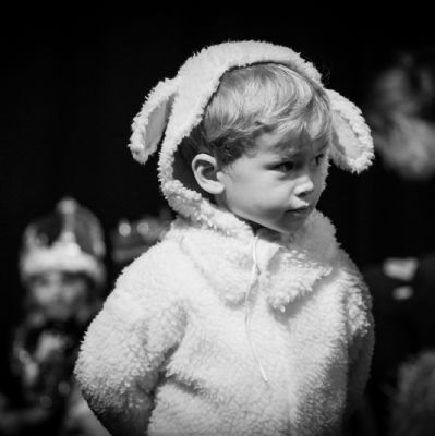 Nativity31)