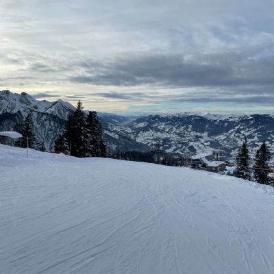 IMG0843
