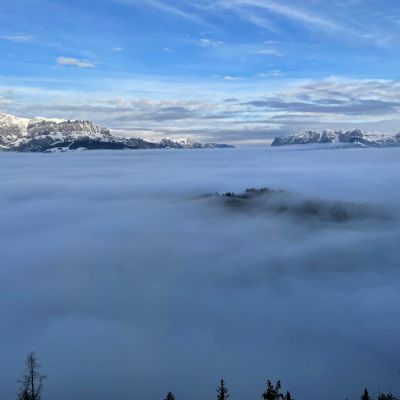 IMG0978